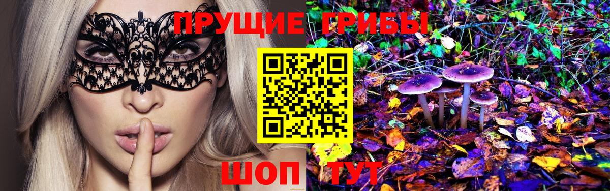 Галлюциногенные грибы Psilocybe Саяногорск