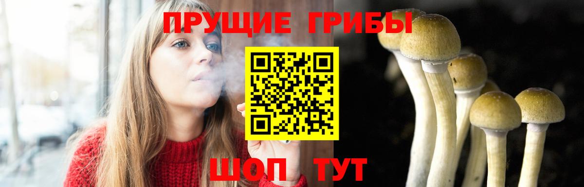 Галлюциногенные грибы мицелий  Вход с VPN  Саяногорск 